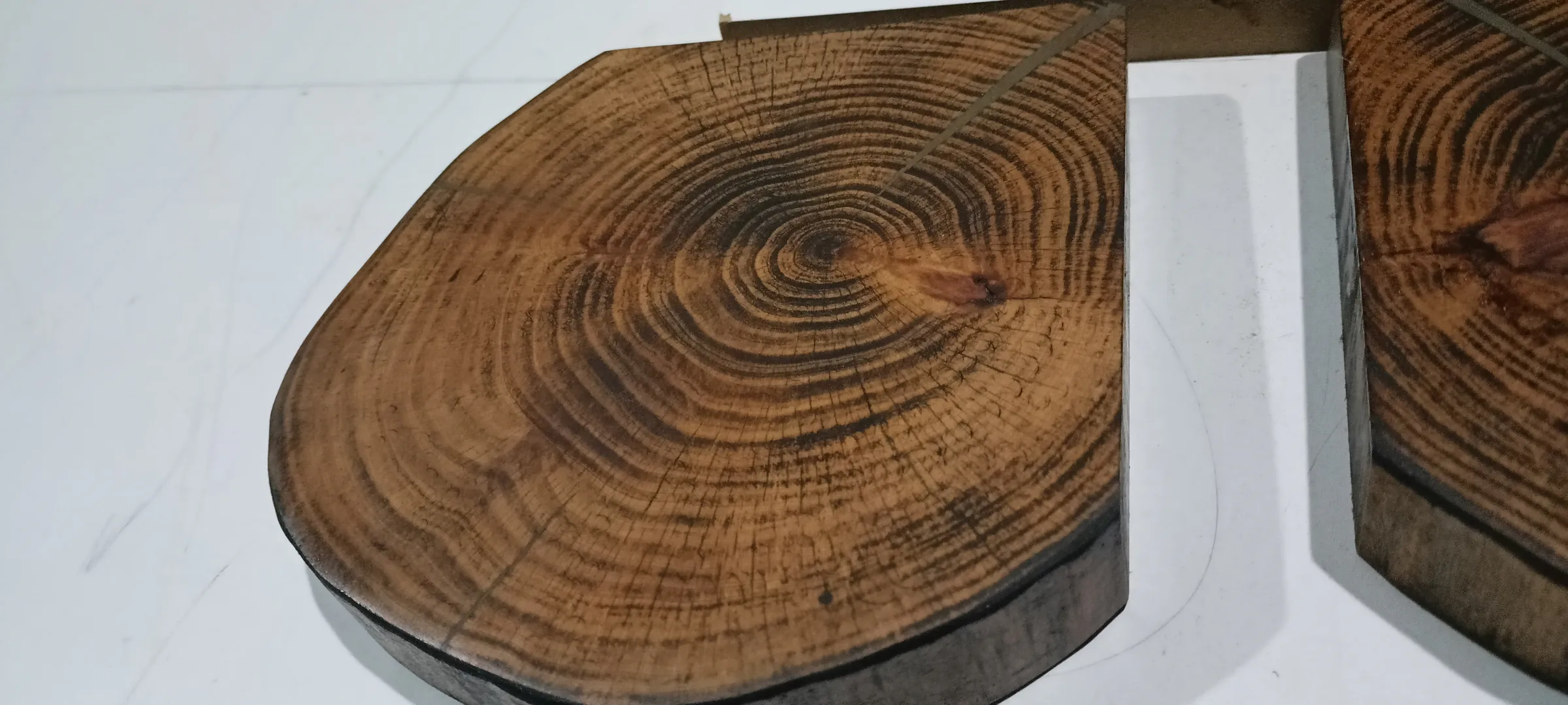 The growth rings of a cut log, resting on the round top it will become.